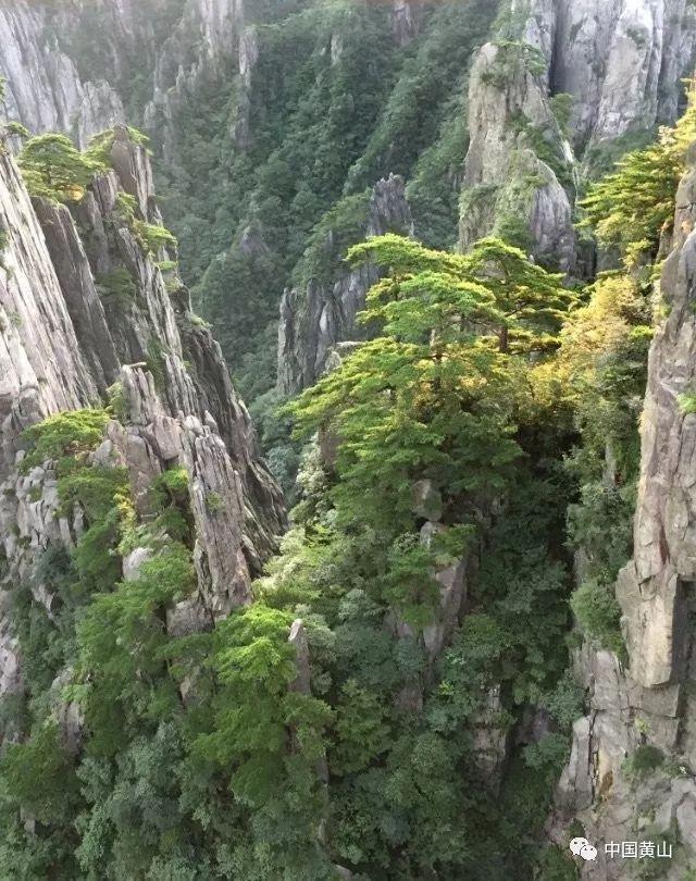聚焦巫溪两会丨绿色崛起 建功有我